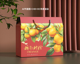 橙子包装设计