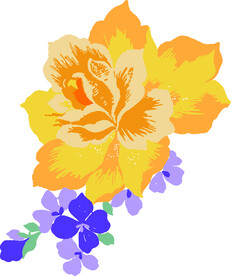 黄色花紫色叶子