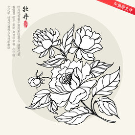 矢量牡丹花