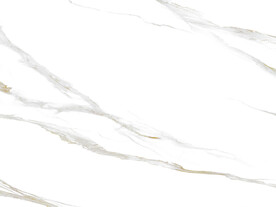 现代 新人气鱼肚白 TiF合层