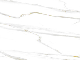 豪华 极简新鱼肚白 Tif合层