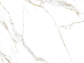 新传 新品爵士白图 TIF合层