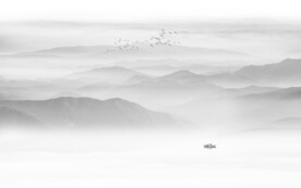 中式水墨山水画