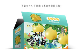 大埔蜜柚包装 