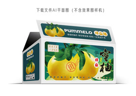 坪山柚包装