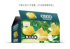 垫江白柚包装