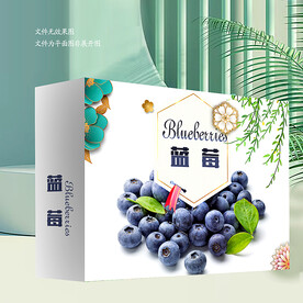 蓝莓 包装