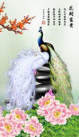 国画孔雀