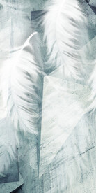 人气 豪华简奢玄关 TiF分层