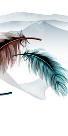 新款 新品高端玄关 TIF分层