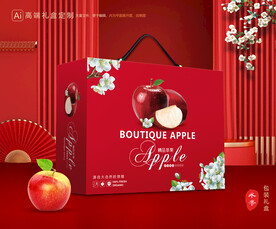苹果包装 红富士礼盒