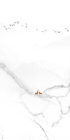 高雅 清晰新玄关画 tif分层