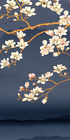 奢雅 现代新品玄关 TiF分层