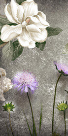 高清 高端人气玄关 TIF分层