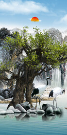 新款 轻奢高清玄关 Tif分层