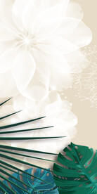 简约 清晰欧式玄关 TIf分层