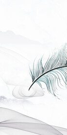 爆款 高档新款玄关 TiF分层