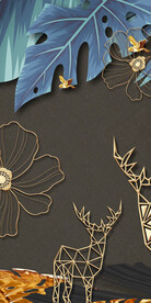 金鹿 欧式清晰玄关 TiF分层