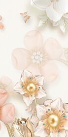 奢华 欧式清晰玄关 TiF分层