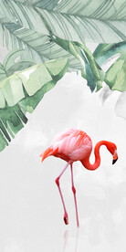 高档 欧式清晰玄关 TiF分层