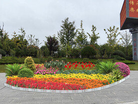 节日花坛