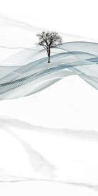 人气 中式简约玄关 tif分层