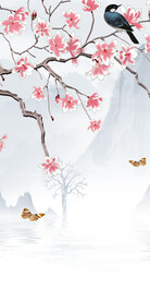 新款 极简人气玄关 TiF分层