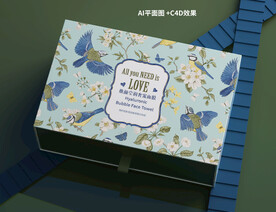 高端礼盒包装设计