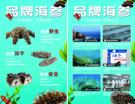 海参海报