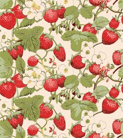 手绘草莓化妆品包装印花图案