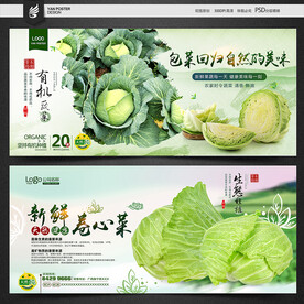 包菜