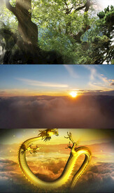 少年中国武术 背景视频