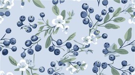 水果蓝莓矢量图案