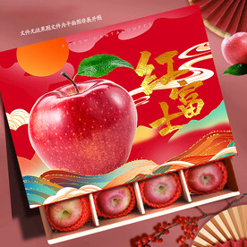 苹果包装 红富士礼盒