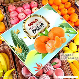 砂糖桔包装 礼盒