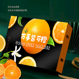 黑色橙子包装