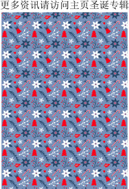 冬季花朵树枝  雪花 圣诞 