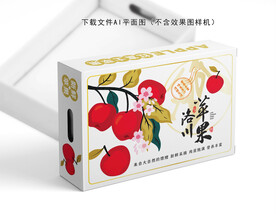 红富士苹果包装
