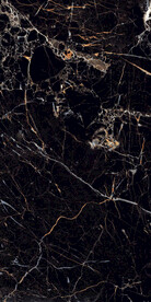 黑金花 金龙黑高清瓷砖设计