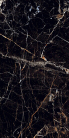 黑金花 金龙黑高清瓷砖设计