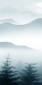 新品 简约中式玄关 TIF分层