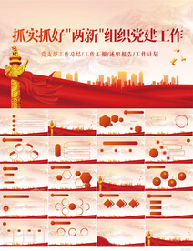 抓实抓好两新组织党建工作PPT