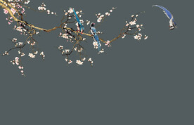 仿手绘高清花鸟