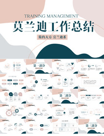 莫兰迪风格工作总结汇报PPT