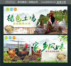 绿色土鸡 家乡风味