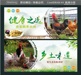 健康之选 乡土味道