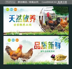 天然放养 品质新鲜