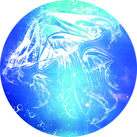 海底世界 水母