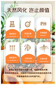 绿色 绿植 盆栽