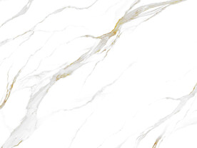 人气 奢华爵士白画 TIf合层